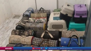 Diyarbakır'da horoz d&ouml;v&uuml;şt&uuml;rd&uuml;ğ&uuml; iddiasıyla 7 ş&uuml;pheli yakalandı