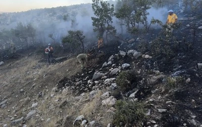 Diyarbakır'da ormanlık alanda &ccedil;ıkan yangın s&ouml;nd&uuml;r&uuml;ld&uuml;