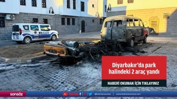 Diyarbakır'da park halindeki 2 ara&ccedil; yandı