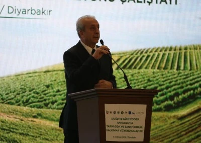 Diyarbakır'da "Tarım Gıda ve Sanayi Odaklı Kalkınma Vizyonu &Ccedil;alıştayı" başladı