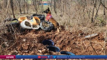 Diyarbakır'da toprağa g&ouml;m&uuml;l&uuml; 43 kilogram esrar ele ge&ccedil;irildi