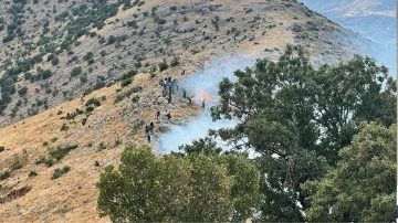 Diyarbakır'ın Hani ilçesinde çıkan orman yangını söndürüldü