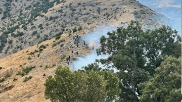 Diyarbakır'ın Hani il&ccedil;esinde &ccedil;ıkan orman yangını s&ouml;nd&uuml;r&uuml;ld&uuml;
