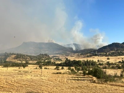 Diyarbakır'ın iki il&ccedil;esinde ormanlık alanda yangın &ccedil;ıktı