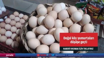 Doğal k&ouml;y yumurtaları d&uuml;ş&uuml;şe ge&ccedil;ti