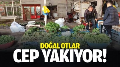 Doğal otlar cep yakıyor!