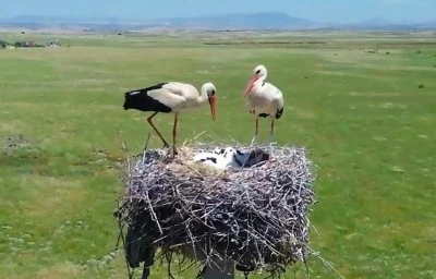 Doğal yaşama enerji veren proje