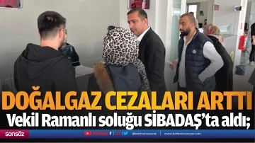 Doğalgaz cezaları arttı