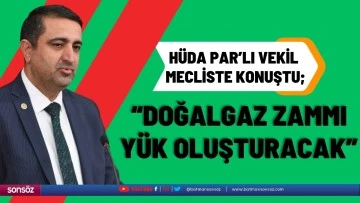 &ldquo;Doğalgaz zammı y&uuml;k oluşturacak&rdquo;