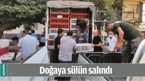 DOĞAYA S&Uuml;L&Uuml;N SALINDI