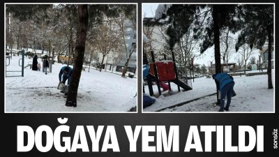 Doğaya yem atıldı
