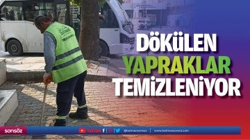 D&ouml;k&uuml;len yapraklar temizleniyor