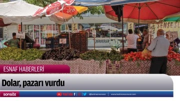 Dolar, pazarı vurdu