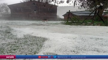 Dolu etkili oldu