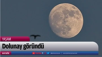 Dolunay g&ouml;r&uuml;nd&uuml;