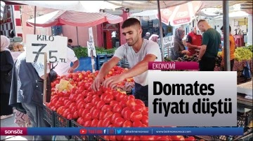 Domates fiyatı d&uuml;şt&uuml;