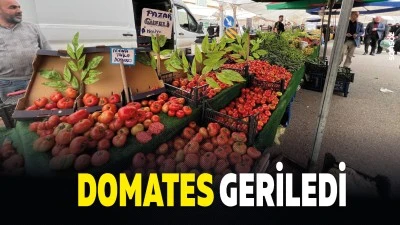 Domates geriledi