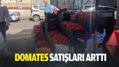 Domates satışları arttı