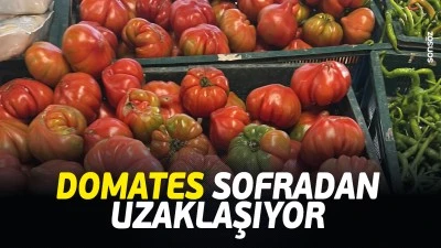 Domates sofradan uzaklaşıyor