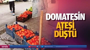 Domatesin ateşi d&uuml;şt&uuml;