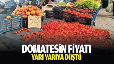 Domatesin fiyatı yarı yarıya d&uuml;şt&uuml;