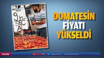Domatesin fiyatı y&uuml;kseldi