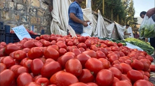 Domatesin tansiyonu y&uuml;kseldi