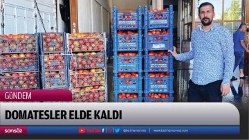 Domatesler elde kaldı