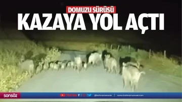 Domuzu s&uuml;r&uuml;s&uuml; kazaya yol a&ccedil;tı