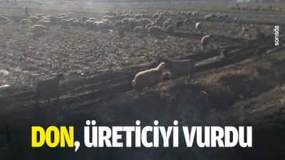 Don, &uuml;reticiyi vurdu