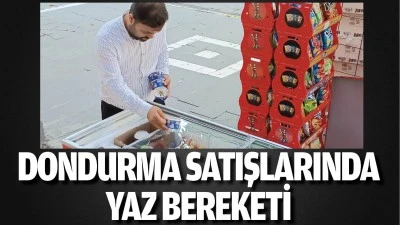 Dondurma satışlarında yaz bereketi