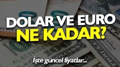 D&ouml;viz Kurlarında Dolar y&uuml;kselişte, Euro geriledi