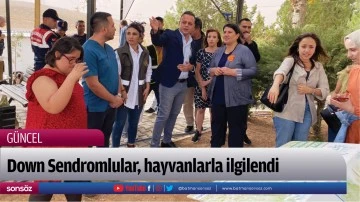 Down Sendromlular, hayvanlarla ilgilendi