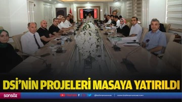 DSİ&rsquo;nin projeleri masaya yatırıldı