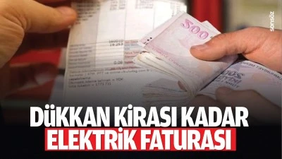 D&uuml;kkan kirası kadar elektrik faturası