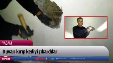 Duvarı kırıp kediyi &ccedil;ıkardılar