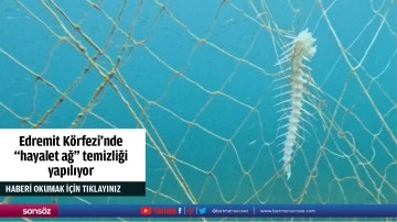 Edremit K&ouml;rfezi'nde "hayalet ağ" temizliği yapılıyor