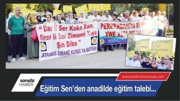 Eğitim Sen&rsquo;den anadilde eğitim talebi...