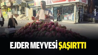 Ejder meyvesi şaşırttı