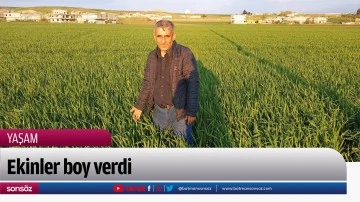 Ekinler boy verdi