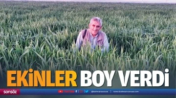 Ekinler boy verdi