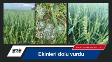 Ekinleri dolu vurdu