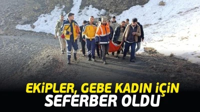 Ekipler, gebe kadın i&ccedil;in seferber oldu