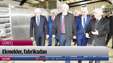 Ekmekler, fabrikadan