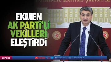 Ekmen, AK Parti’li Vekilleri eleştirdi