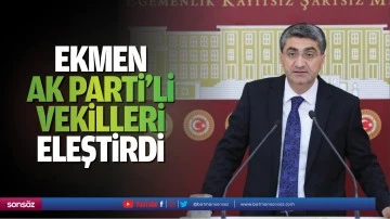 Ekmen, AK Parti&rsquo;li Vekilleri eleştirdi