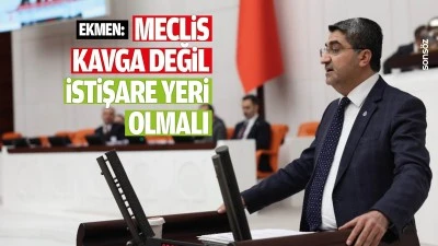 Ekmen: Meclis kavga değil, istişare yeri olmalı