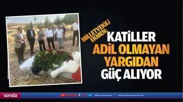 Ekmen: "Katiller, adil olmayan yargıdan g&uuml;&ccedil; alıyor"