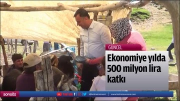 Ekonomiye yılda 500 milyon lira katkı