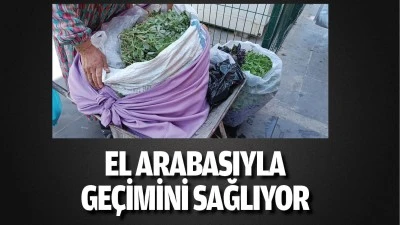 El arabasıyla ge&ccedil;imini sağlıyor